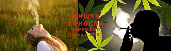 ПСИЛОЦИБИНОВЫЕ ГРИБЫ Корсаков