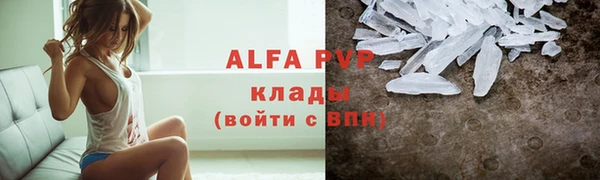 ПСИЛОЦИБИНОВЫЕ ГРИБЫ Корсаков