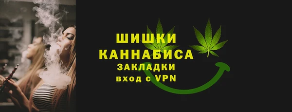 ПСИЛОЦИБИНОВЫЕ ГРИБЫ Корсаков