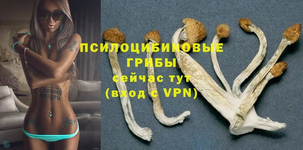 прущие крисы Коряжма