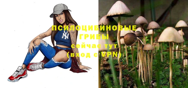 шишки Кущёвская