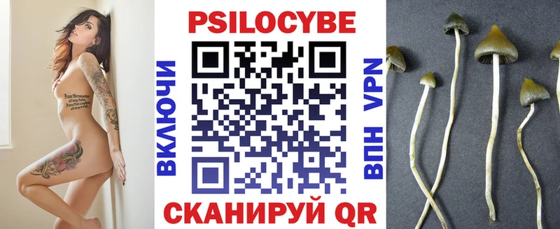 сколько стоит  Луга  mega ссылки  Псилоцибиновые грибы Psilocybe 